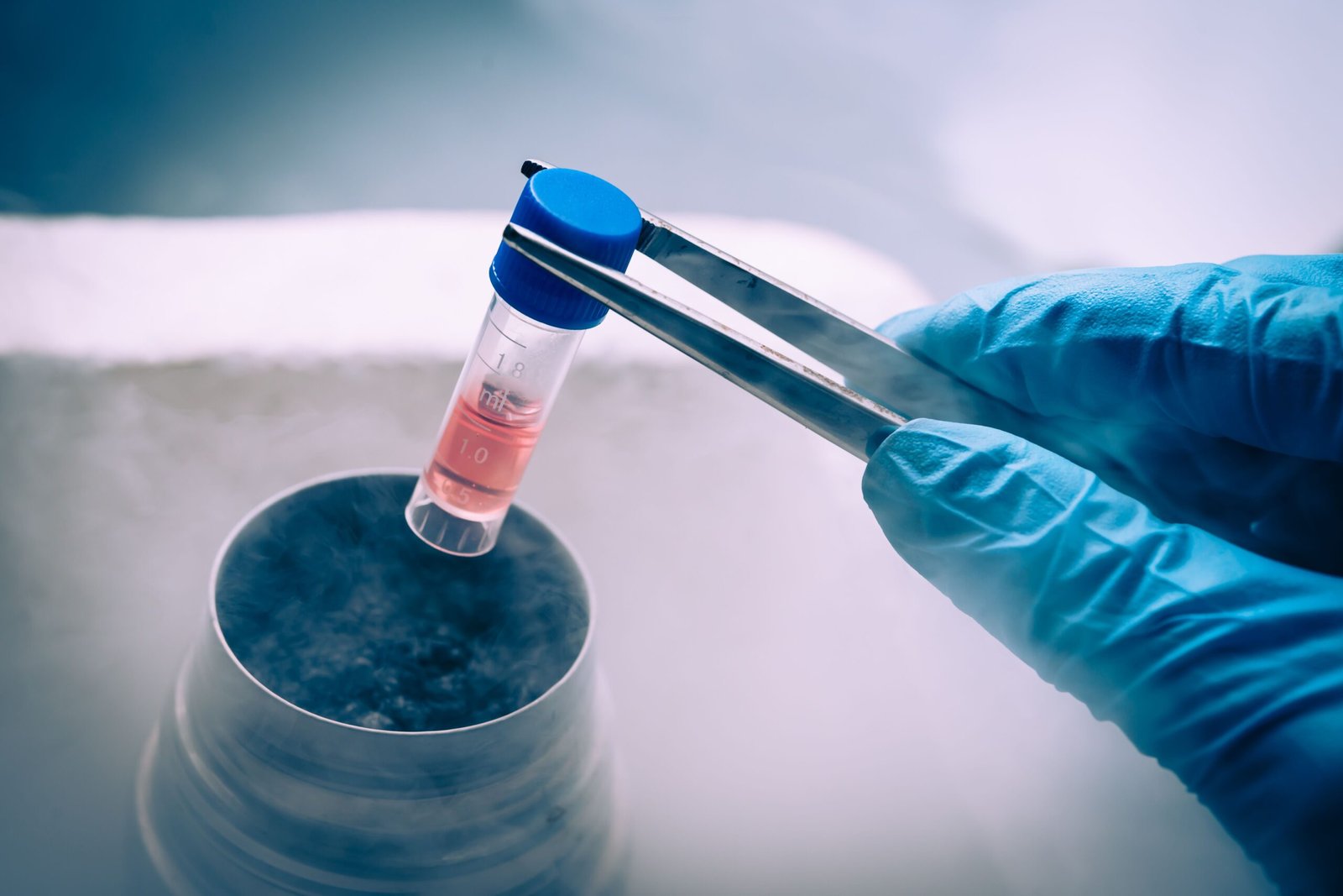 Embryo Freezing