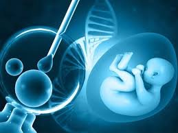 ivf centre